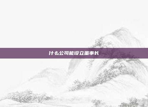 什么公司能设立董事长