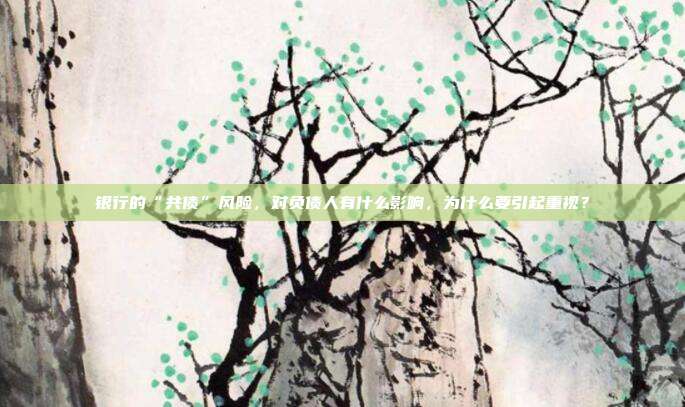 银行的“共债”风险，对负债人有什么影响，为什么要引起重视？