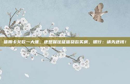 信用卡欠款一大堆，还想保住征信贷款买房，银行：请先还钱！