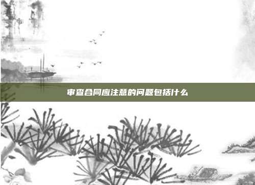 审查合同应注意的问题包括什么