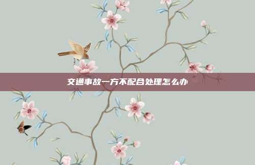 交通事故一方不配合处理怎么办