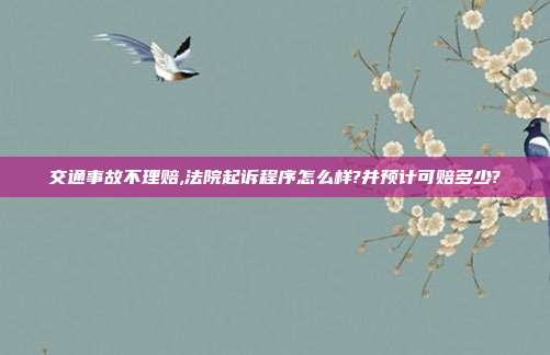 交通事故不理赔,法院起诉程序怎么样?并预计可赔多少?