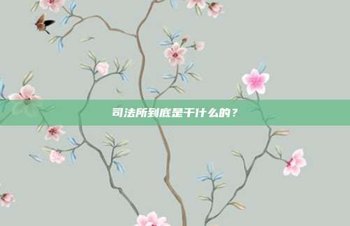 司法所到底是干什么的？