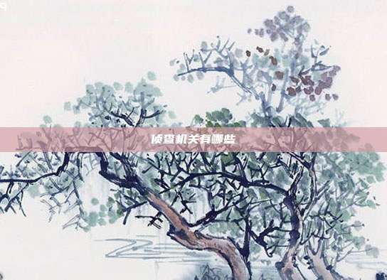 侦查机关有哪些